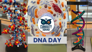 The Curiosity Squad Episode 29 – DNA Day!