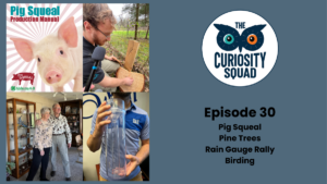 The Curiosity Squad Episode 30 – Pigs, Rain, Foraging and Birding
